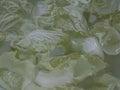 Pieces of White cabbage soaked in water
