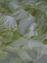 Pieces of White cabbage soaked in water