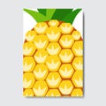 Cut pineapple template card, slice fresh fruit poster on white background, magazine cover vertical layout brochure