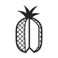 cut pineapple. Vector illustration decorative design