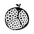 cut pomegranate glyph icon vector illustration