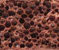 Cut of porous milk chocolate. Macro.