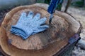 Cut-proof gloves for a young boy cutting the bark off a tree with a sharp knife as pocket knife as perfect outdoor-equipment fon