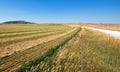 Cut - Raked - Alfalfa Field next to dirt road in the Pryor Mountains in Montana