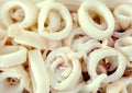 Cut raw calamari rings Royalty Free Stock Photo