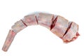 Cut raw oxtails isolated on a white Royalty Free Stock Photo