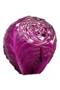 Cut red cabbage Royalty Free Stock Photo