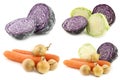 Cut red cabbage and cut green pointed cabbage and some carrots and onions Royalty Free Stock Photo