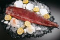 Cut red fish fillet with lemon, shells and pebbles on ice Royalty Free Stock Photo