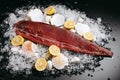 Cut red fish fillet with lemon, shells and pebbles on ice Royalty Free Stock Photo