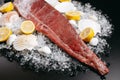 Cut red fish fillet with lemon, shells and pebbles on ice Royalty Free Stock Photo