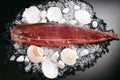 Cut red fish fillet with shells and pebbles on ice Royalty Free Stock Photo