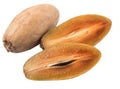 Cut Sapodilla Or Ciku Fruit III Royalty Free Stock Photo