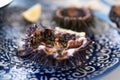 Cut sea urchins laid in the shell on a dish with lemon