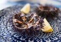 Cut sea urchins laid in the shell on a dish with lemon