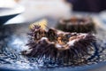 Cut sea urchins laid in the shell on a dish with lemon