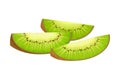 Cut Into Sections Kiwifruit or Kiwi as Edible Berry with Fibrous Brown Skin and Green Flesh Vector Illustration