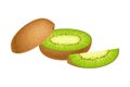 Cut Into Sections Kiwifruit or Kiwi as Edible Berry with Fibrous Brown Skin and Green Flesh Vector Illustration