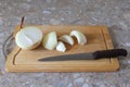 cut into several parts a large juicy peeled onion