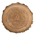 Cut, slice, section of tree wood isolated on a white background.  Macro shot of a cut tree with annual rings. Stump, trunk of an Royalty Free Stock Photo