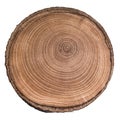 Cut, slice, section of tree wood isolated on a white background.  Macro shot of a cut tree with annual rings. Stump, trunk of an Royalty Free Stock Photo