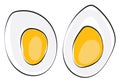 Cut slices of a hard boiled egg vector or color illustration