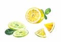 Cut slices of lemon, bergamot or lime on a white background. Ill