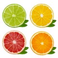 Cut slices of lime and lemon, orange, pink grapefruit isolated on white background. Clipping path Royalty Free Stock Photo