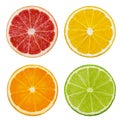 Cut slices of lime and lemon, orange, pink grapefruit isolated on white background. Clipping path Royalty Free Stock Photo