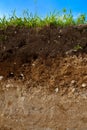 A cut of soil Royalty Free Stock Photo