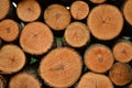 Cut and stacked firewood logs Royalty Free Stock Photo