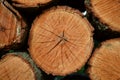 Cut and stacked firewood logs closeup Royalty Free Stock Photo