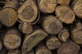 Cut and stacked tree trunks. Stacked Logs Texture, Natural Background. Royalty Free Stock Photo