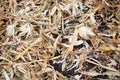 Cut stalks and chaff lying on the ground Royalty Free Stock Photo