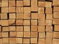 Cut surface of a pile of plantation grown dressed pine Royalty Free Stock Photo