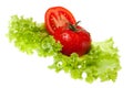 Cut tomato on sheet of the salad Royalty Free Stock Photo