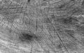 Cut tree cracked stump surface texture. Cutting a cross-tree with annual rings background, close-up. black and white photo Royalty Free Stock Photo