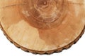 Cut tree growth rings Royalty Free Stock Photo