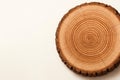Cut of a tree with growth rings. Space for text. Royalty Free Stock Photo