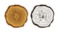 Cut tree icons, tree rings illustration