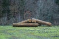 Cut tree logs piled up near a forest road Royalty Free Stock Photo