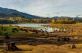 Cut Tree Stumps at Alder Lake Royalty Free Stock Photo