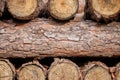 Cut Tree Trunks Stacked On Top Of One Another Royalty Free Stock Photo