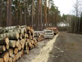 Cut trees ready for transport. Tree clearing