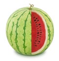 Cut tasty watermelon on a white background. Royalty Free Stock Photo