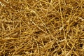 Cut wheat straw pile pattern. Royalty Free Stock Photo