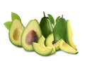 Cut and whole fresh avocados on background