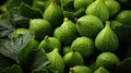 Cut and whole fresh green figs with leaves