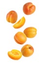Cut and whole ripe apricots falling on background Royalty Free Stock Photo