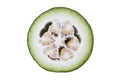 Cut green winter melon isolated on white background. Benincasa hispida plant